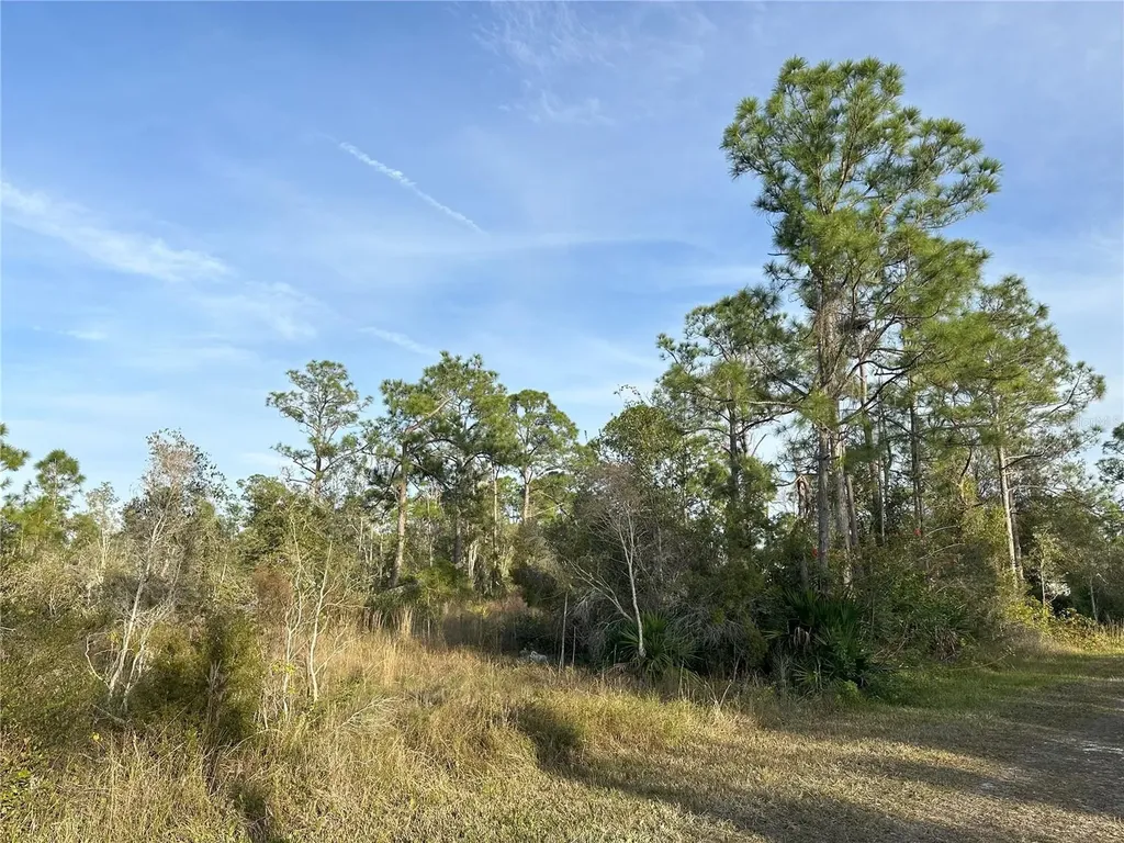 12135 Ludden Court Punta Gorda FL 33955