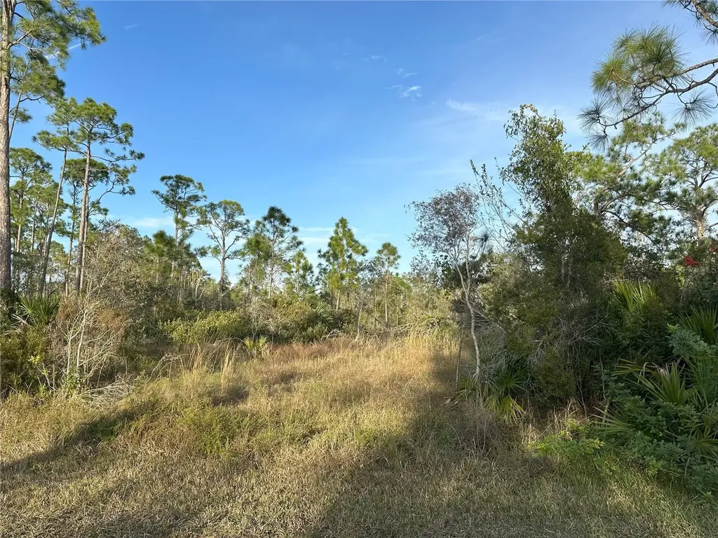 12135 Ludden Court Punta Gorda FL 33955