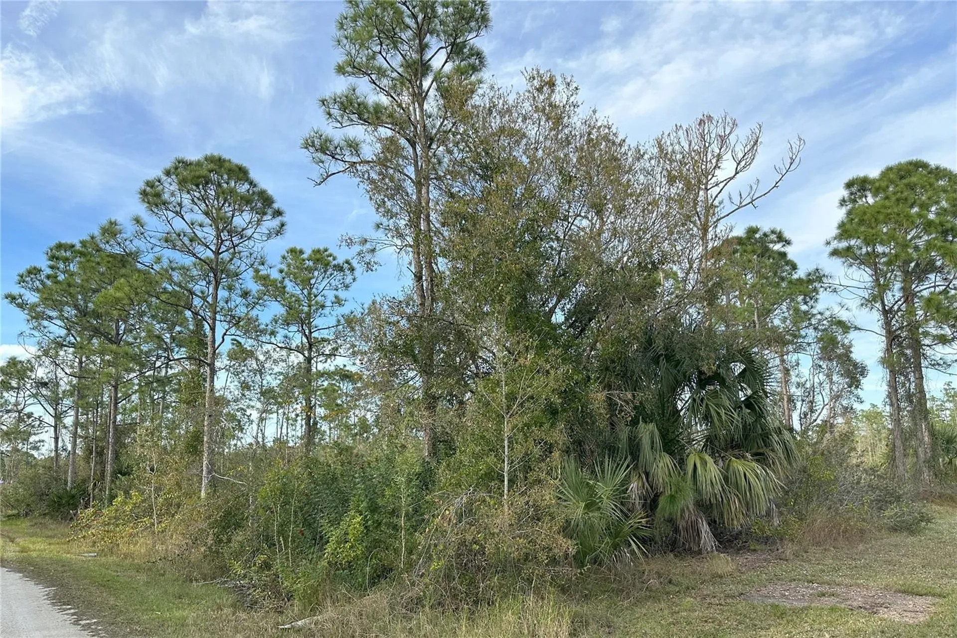 12135 Ludden Court Punta Gorda FL 33955