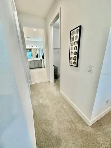3152 Mountain Spruce Terrace Wesley Chapel FL 33543