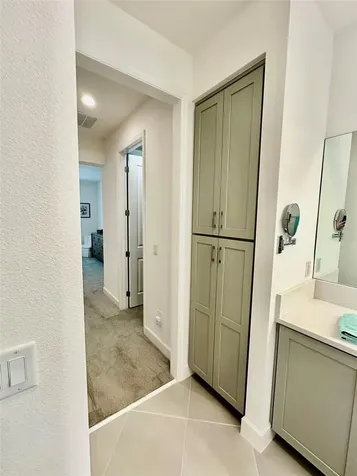 3152 Mountain Spruce Terrace Wesley Chapel FL 33543