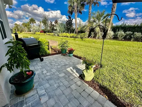 3152 Mountain Spruce Terrace Wesley Chapel FL 33543