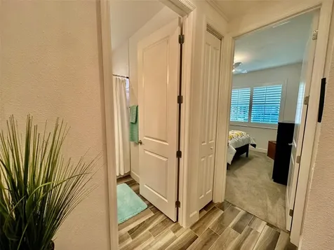 3152 Mountain Spruce Terrace Wesley Chapel FL 33543