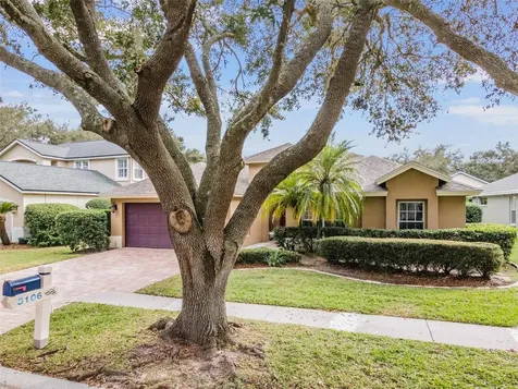 3106 Bent Creek Drive Valrico FL 33596