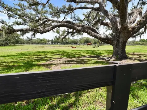 14300 Mossy Oak Lane Myakka City FL 34251
