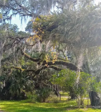 14300 Mossy Oak Lane Myakka City FL 34251