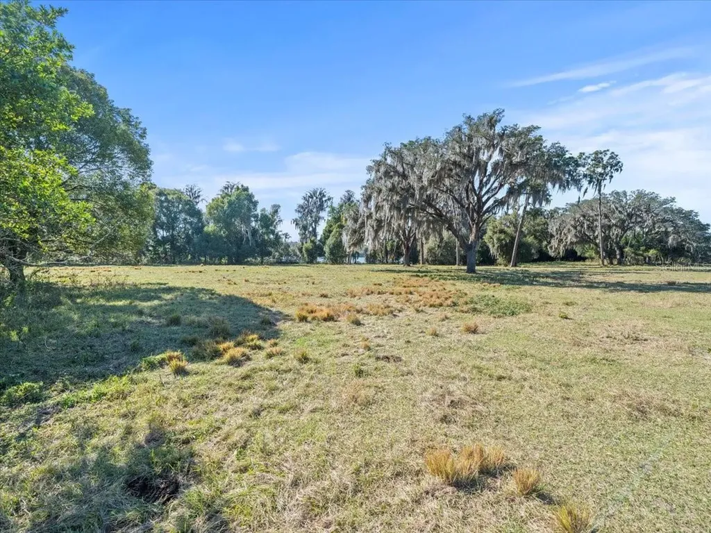 Boy Scout Road Odessa FL 33556