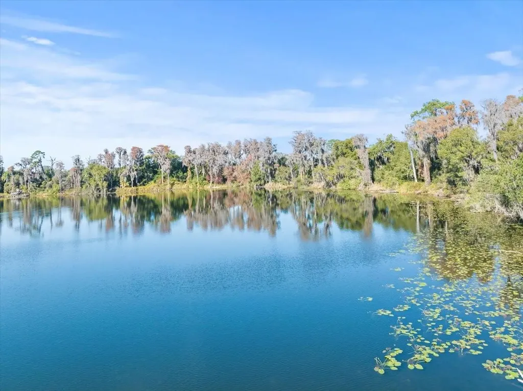 Boy Scout Road Odessa FL 33556