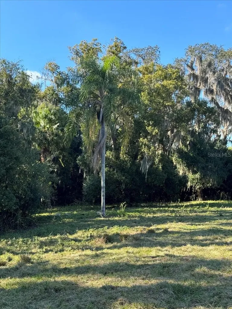 Boy Scout Road Odessa FL 33556