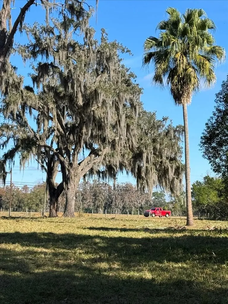 Boy Scout Road Odessa FL 33556