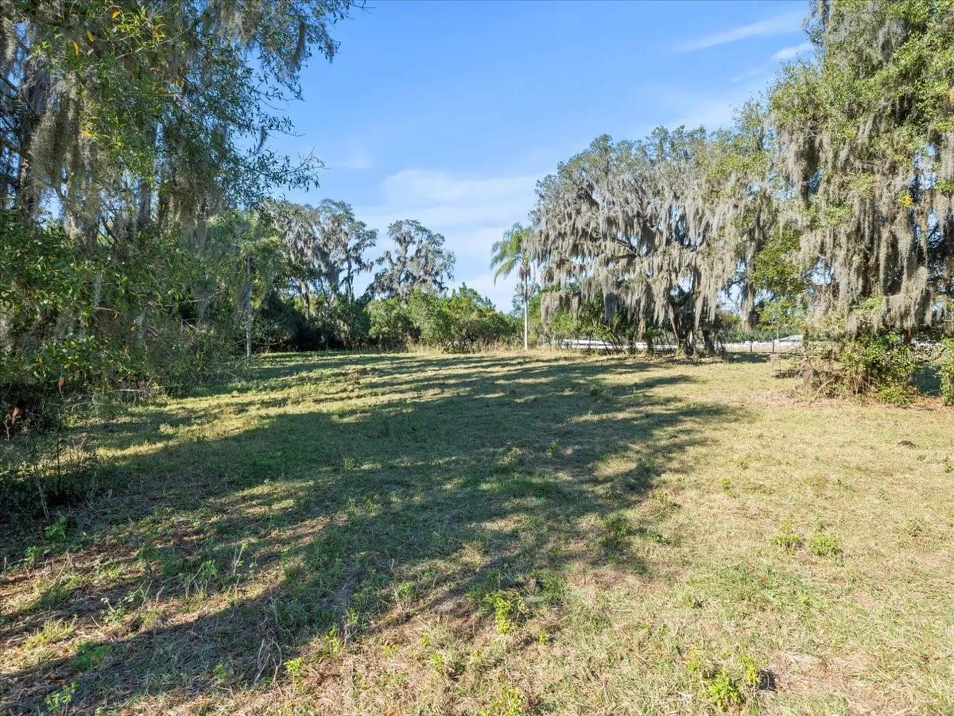 Boy Scout Road Odessa FL 33556