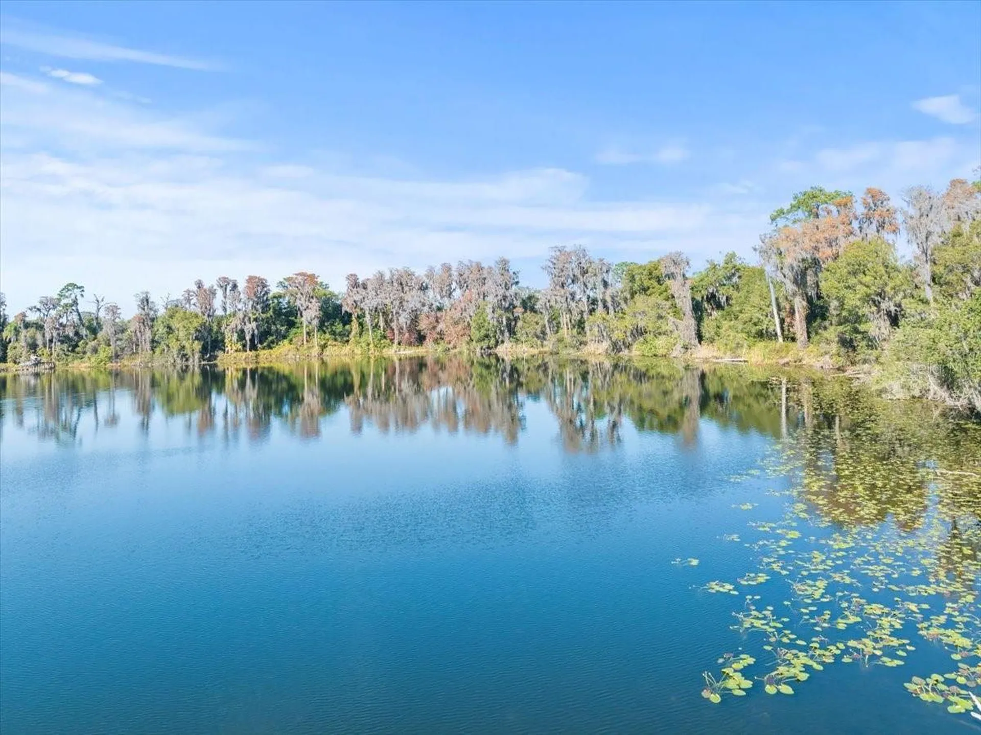 Boy Scout Road Odessa FL 33556