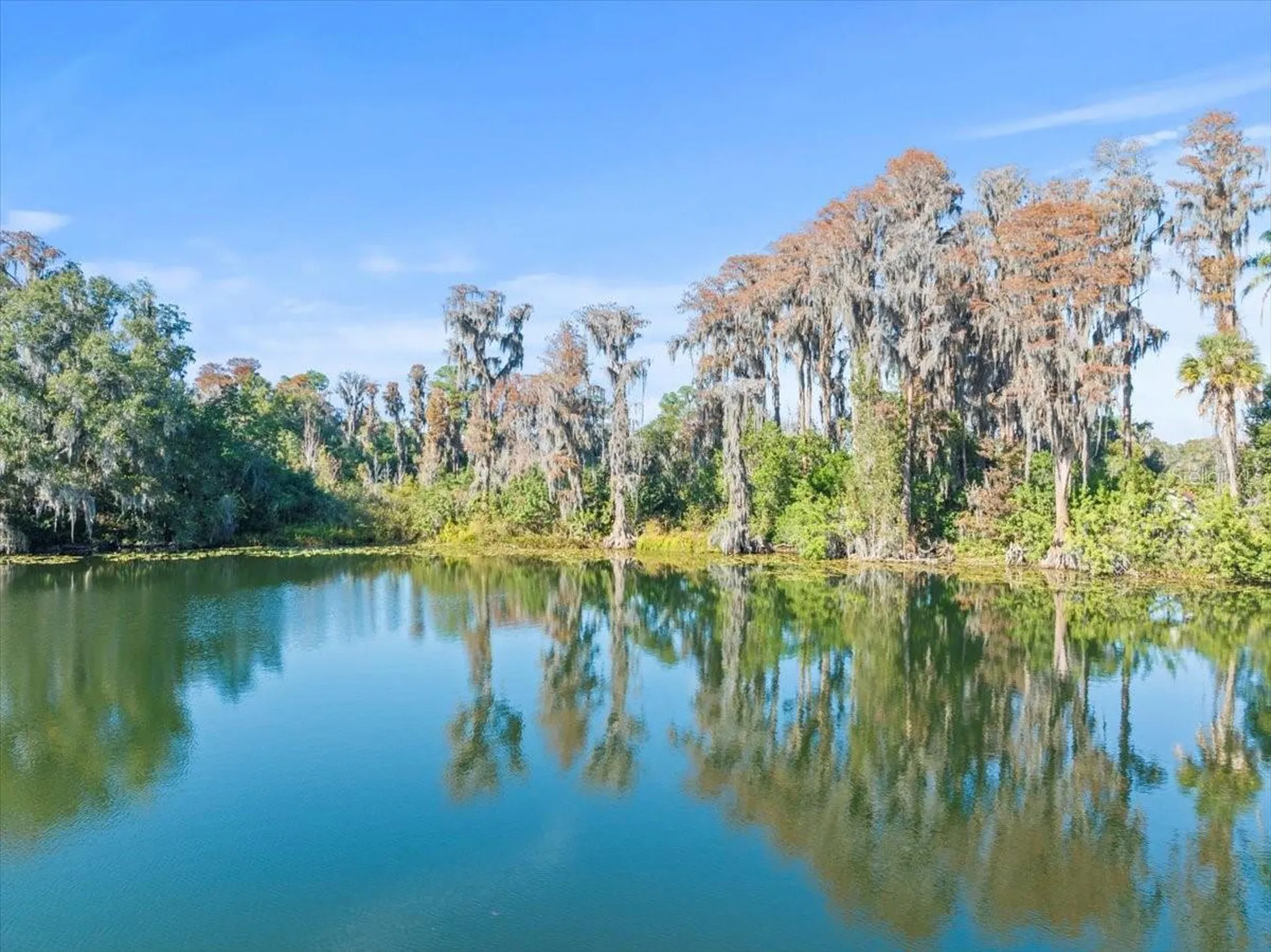 Boy Scout Road Odessa FL 33556