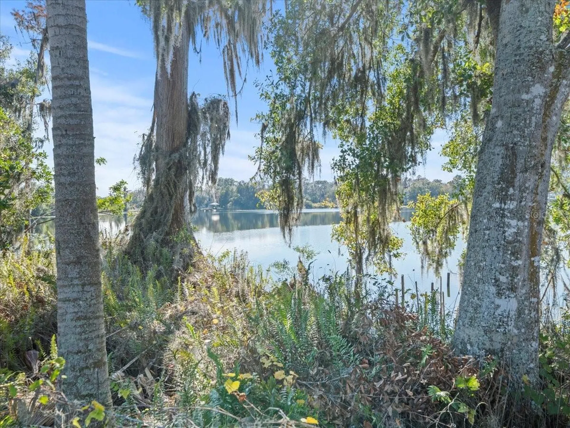 Boy Scout Road Odessa FL 33556