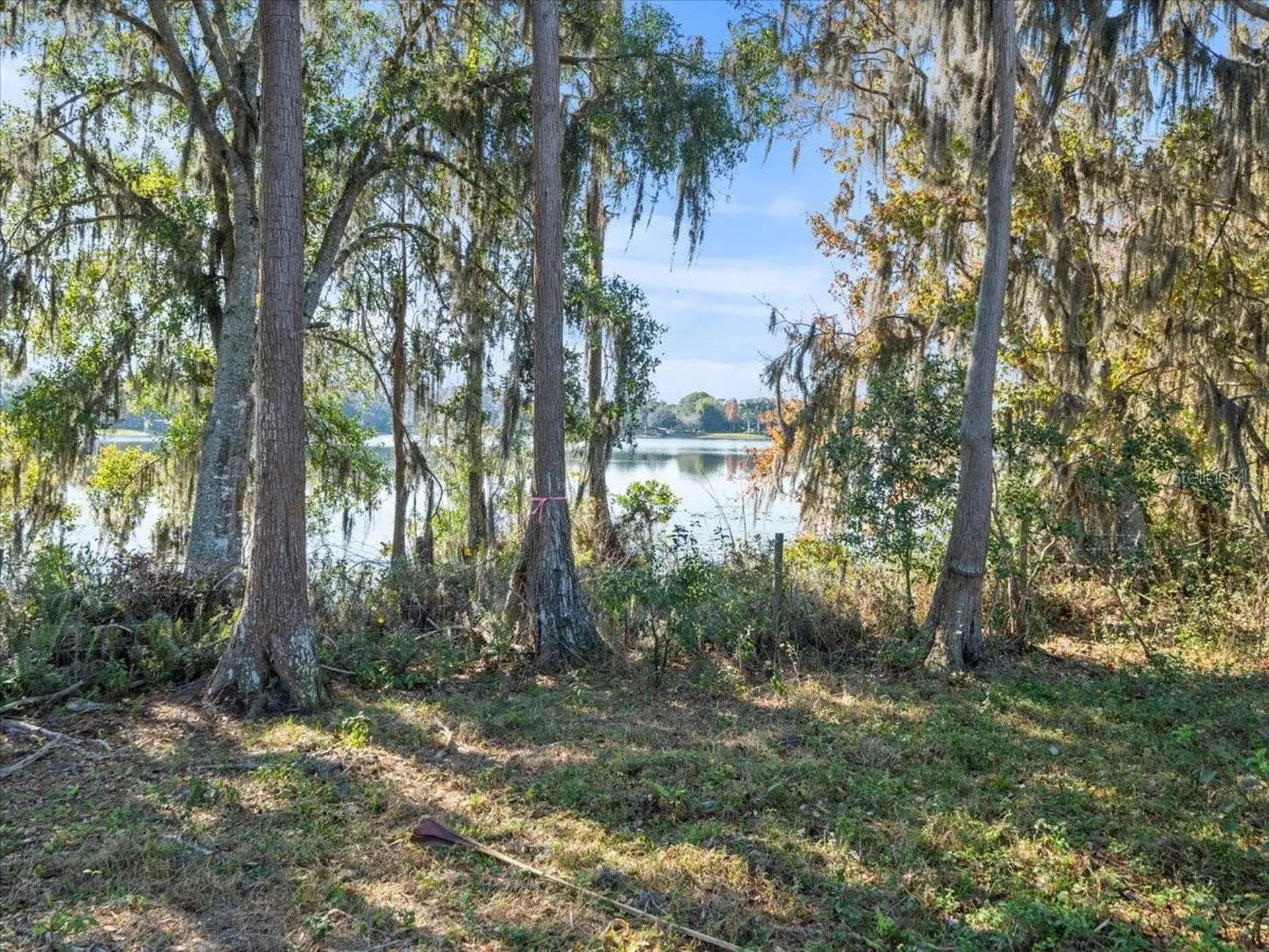 Boy Scout Road Odessa FL 33556
