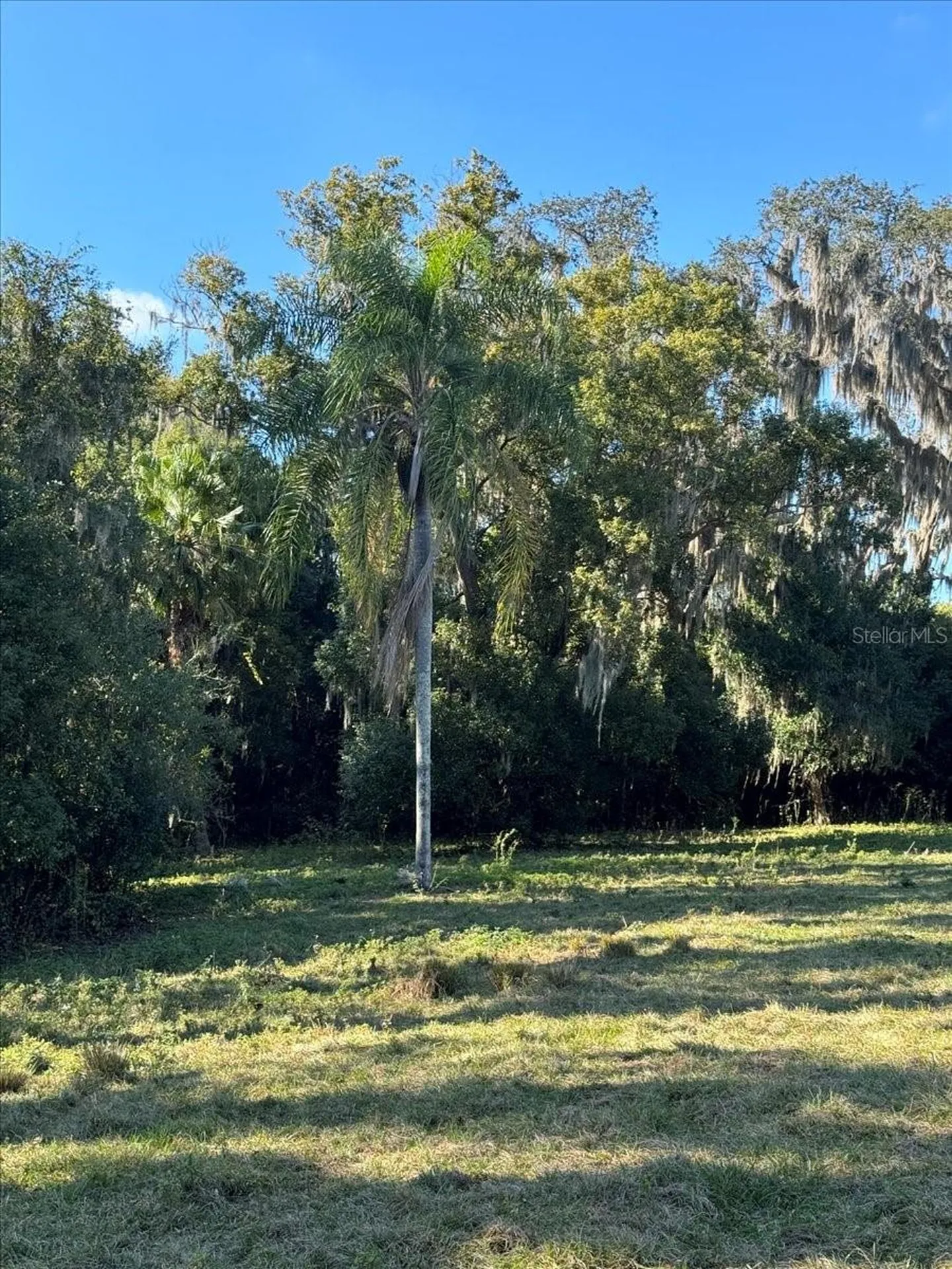 Boy Scout Road Odessa FL 33556