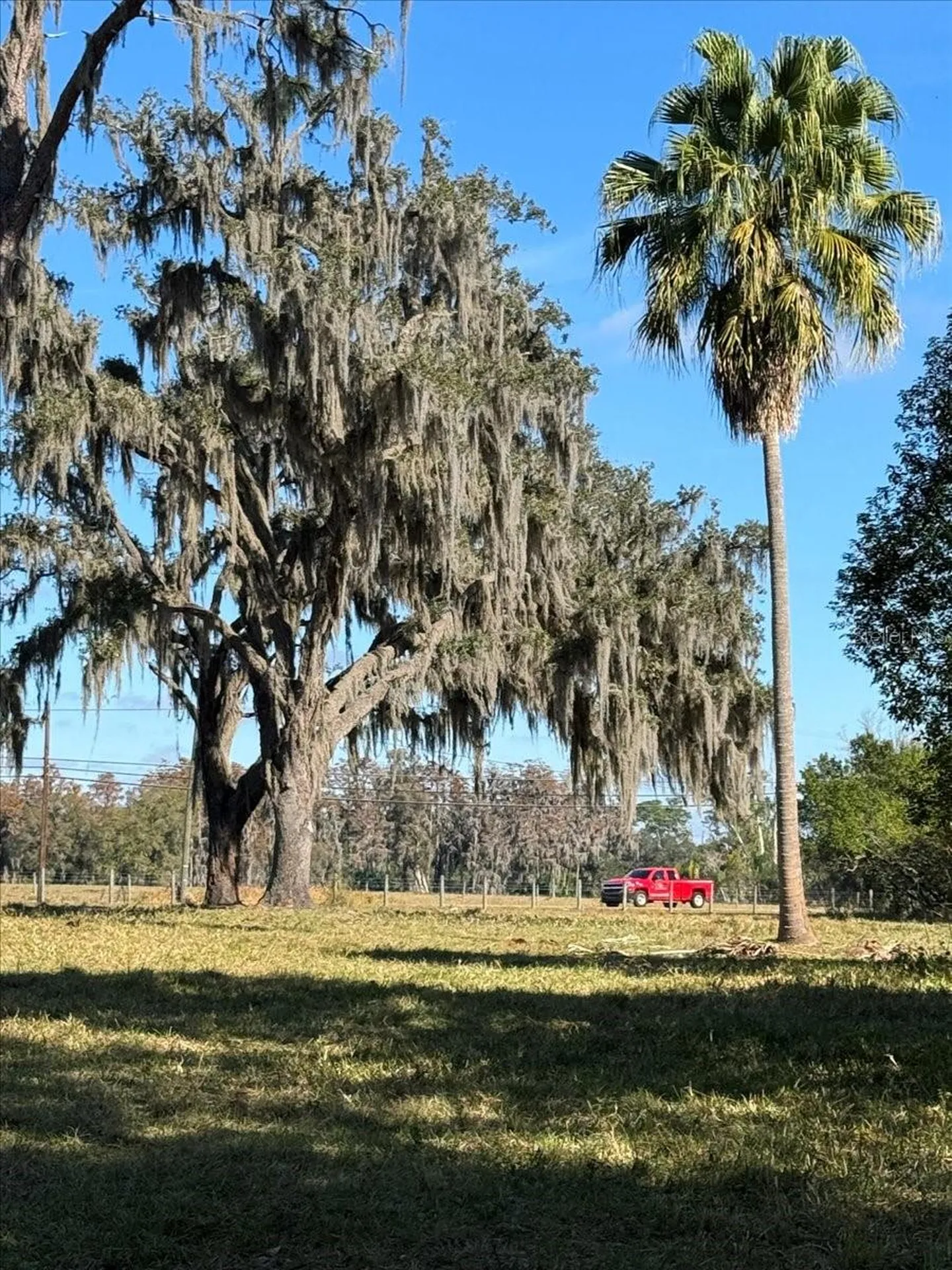 Boy Scout Road Odessa FL 33556