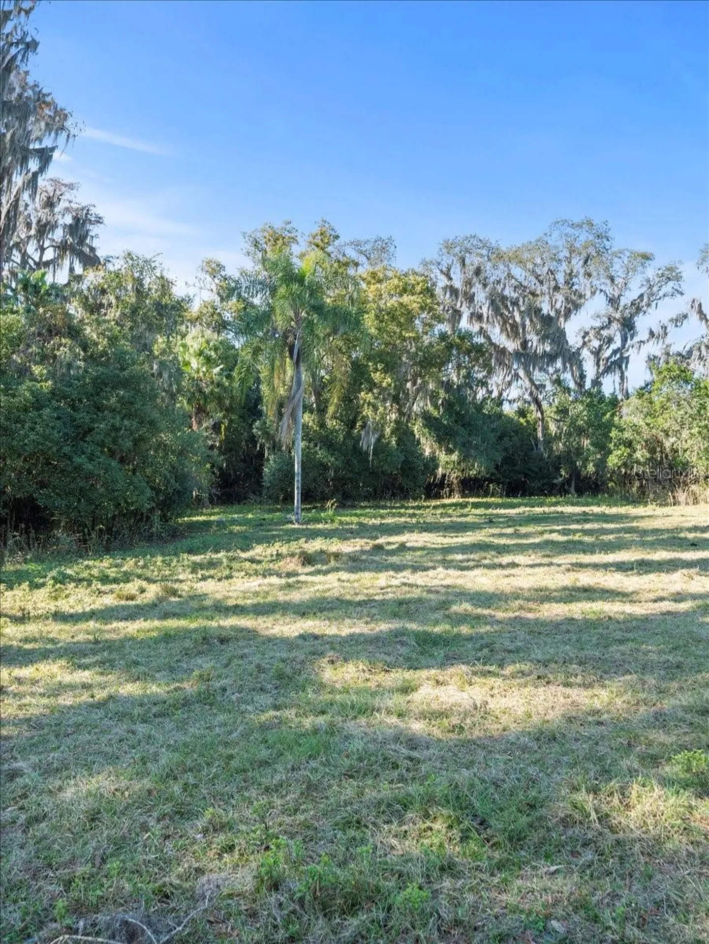 Boy Scout Road Odessa FL 33556