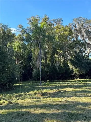 Boy Scout Road Odessa FL 33556