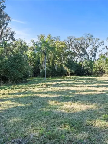 Boy Scout Road Odessa FL 33556