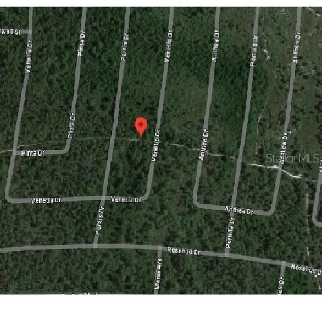 6751 Venetia Drive Sebring FL 33872