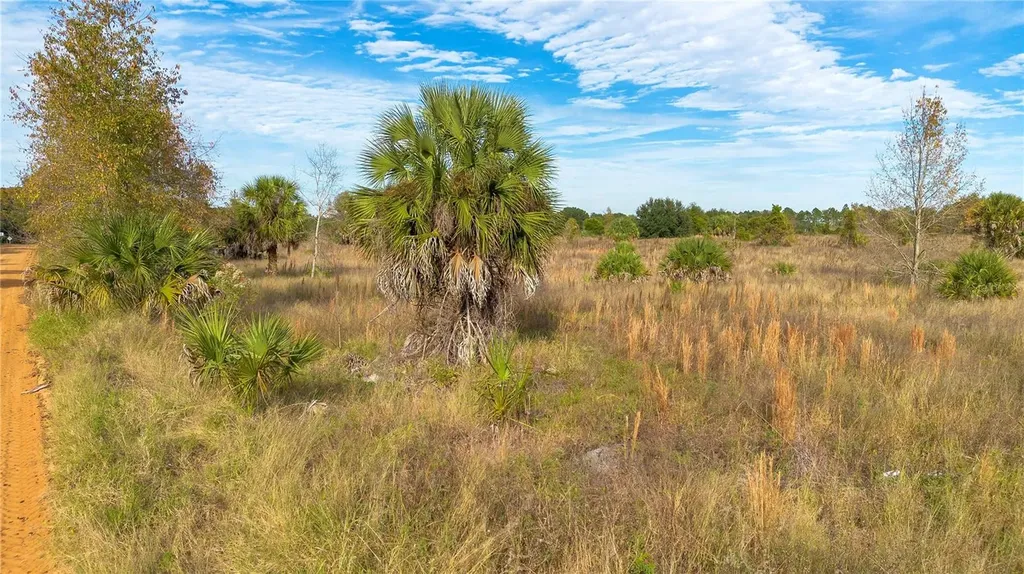 28432 S Eichelberger Road Tavares FL 32778