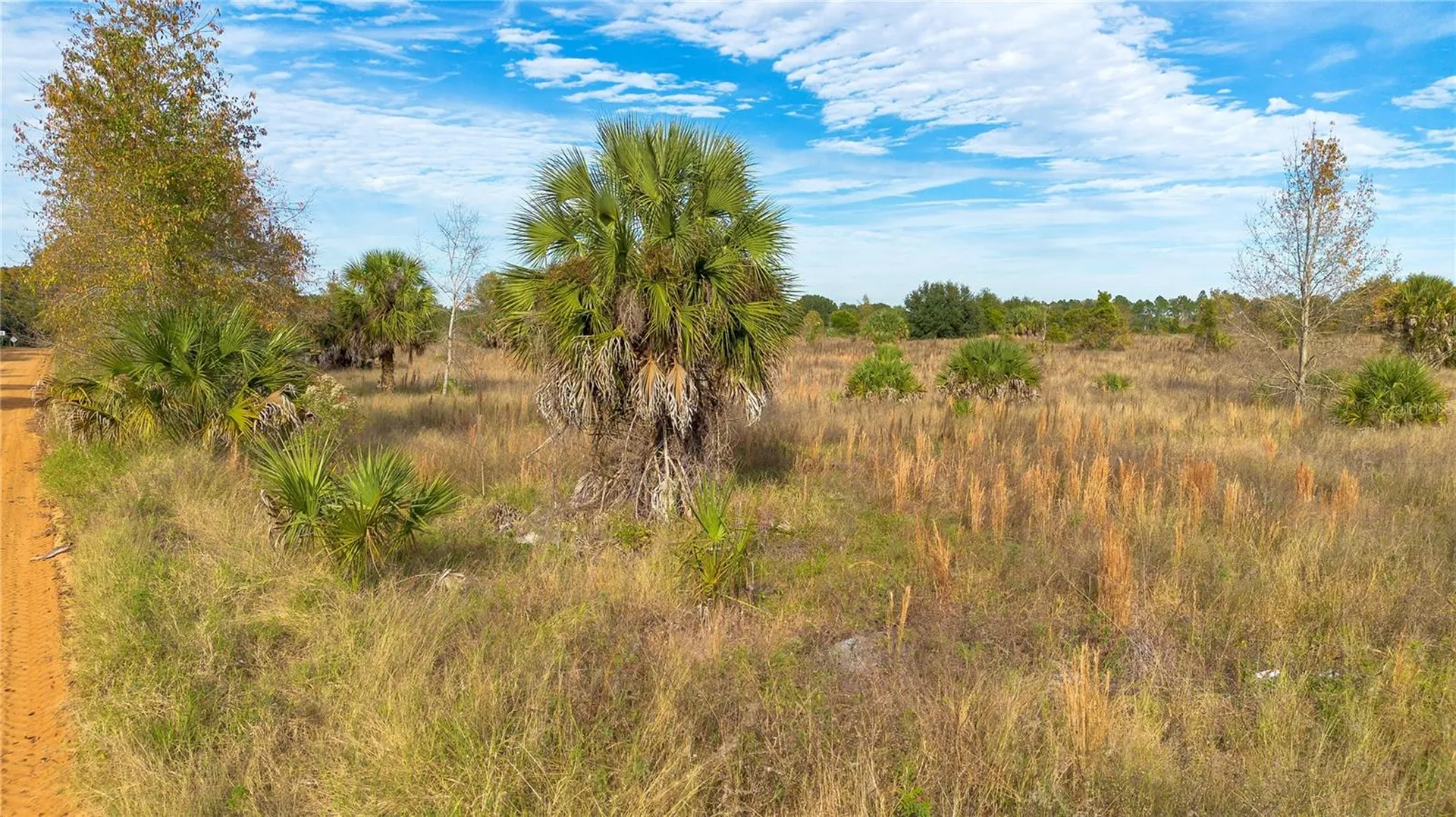 28432 S Eichelberger Road Tavares FL 32778