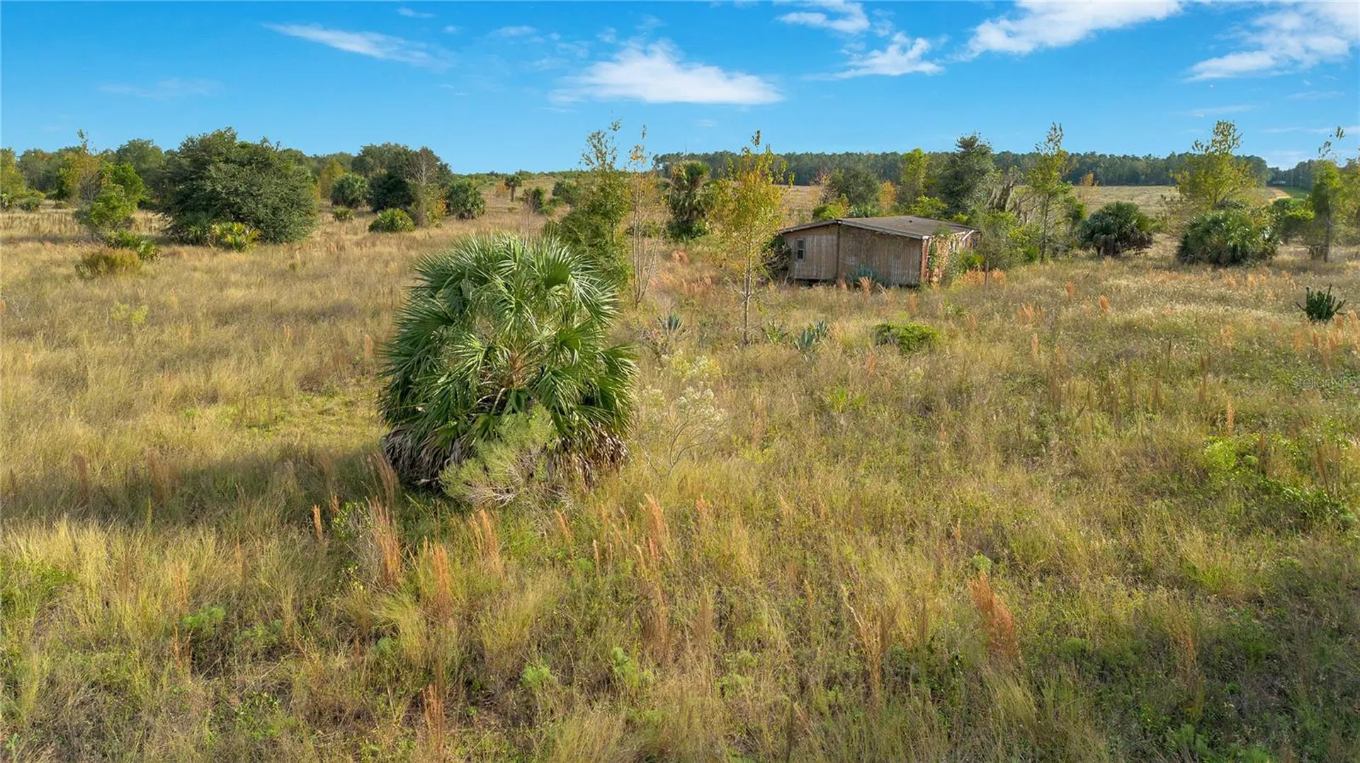 28432 S Eichelberger Road Tavares FL 32778