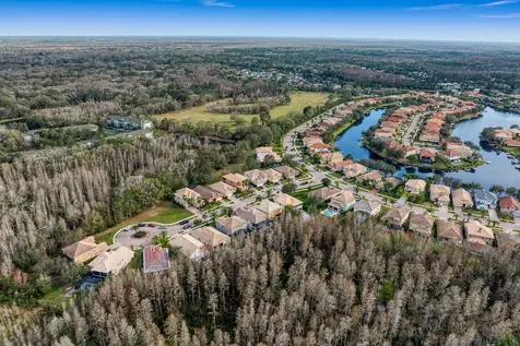 18008 Maui Isle Drive Tampa FL 33647