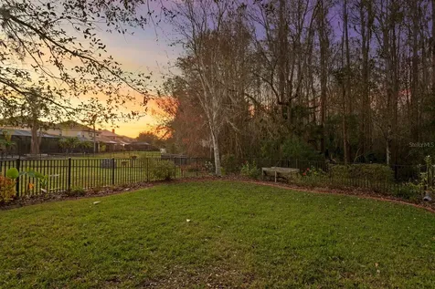 18008 Maui Isle Drive Tampa FL 33647