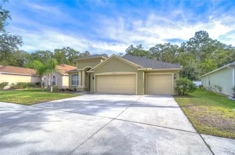 10528 Deerberry Drive Land O Lakes FL 34638