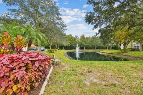 11124 Blaine Top Place Tampa FL 33626
