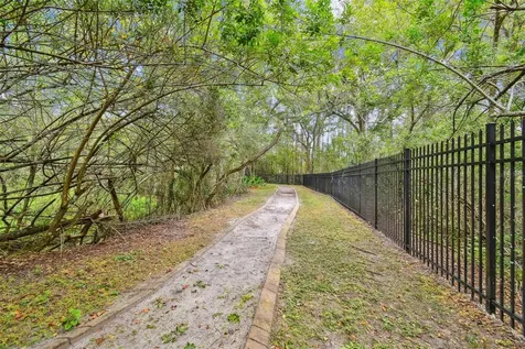11124 Blaine Top Place Tampa FL 33626
