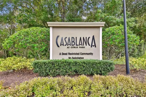 11124 Blaine Top Place Tampa FL 33626
