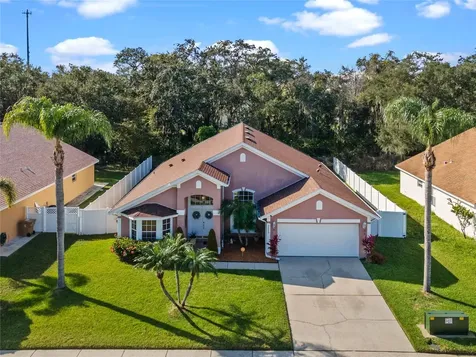 2623 Gold Dust Circle Kissimmee FL 34744