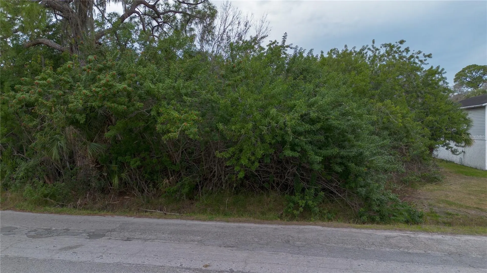 6317 Oelsner Street New Port Richey FL 34652