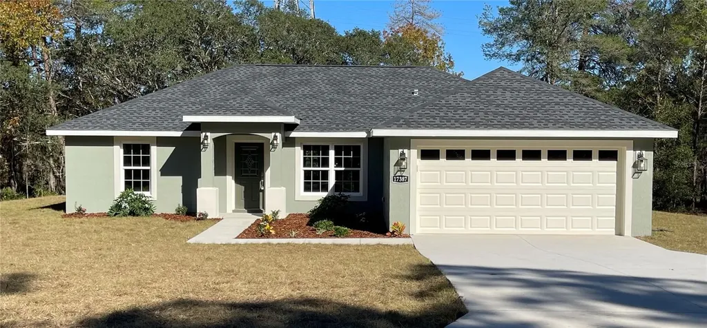 17387 SW 43rd Circle Ocala FL 34473