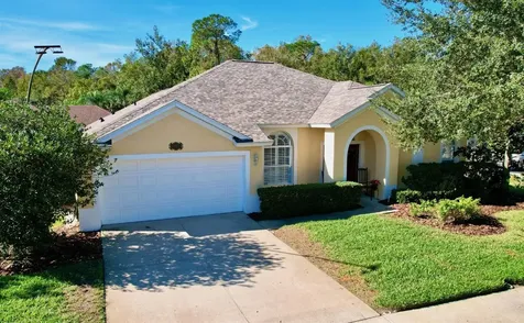 25552 Risen Star Drive Wesley Chapel FL 33544