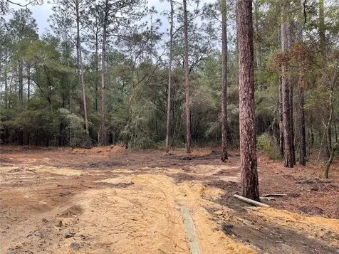 20044 SW 54th Street Dunnellon FL 34431