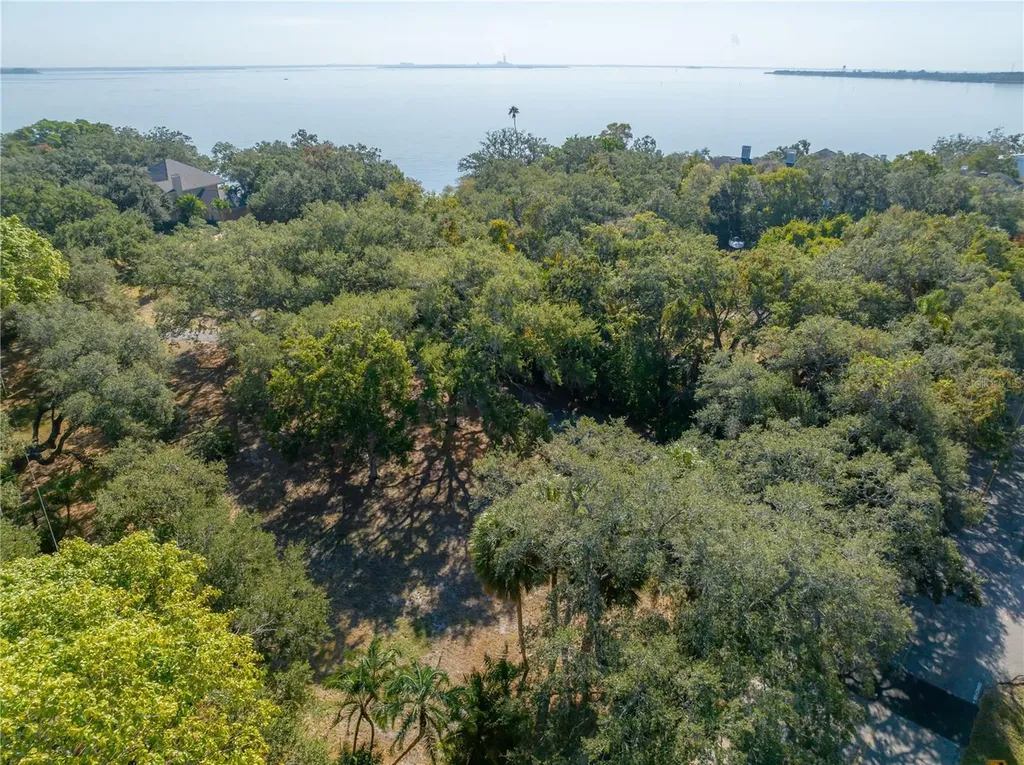 6210 Bayshore Boulevard Tampa FL 33611