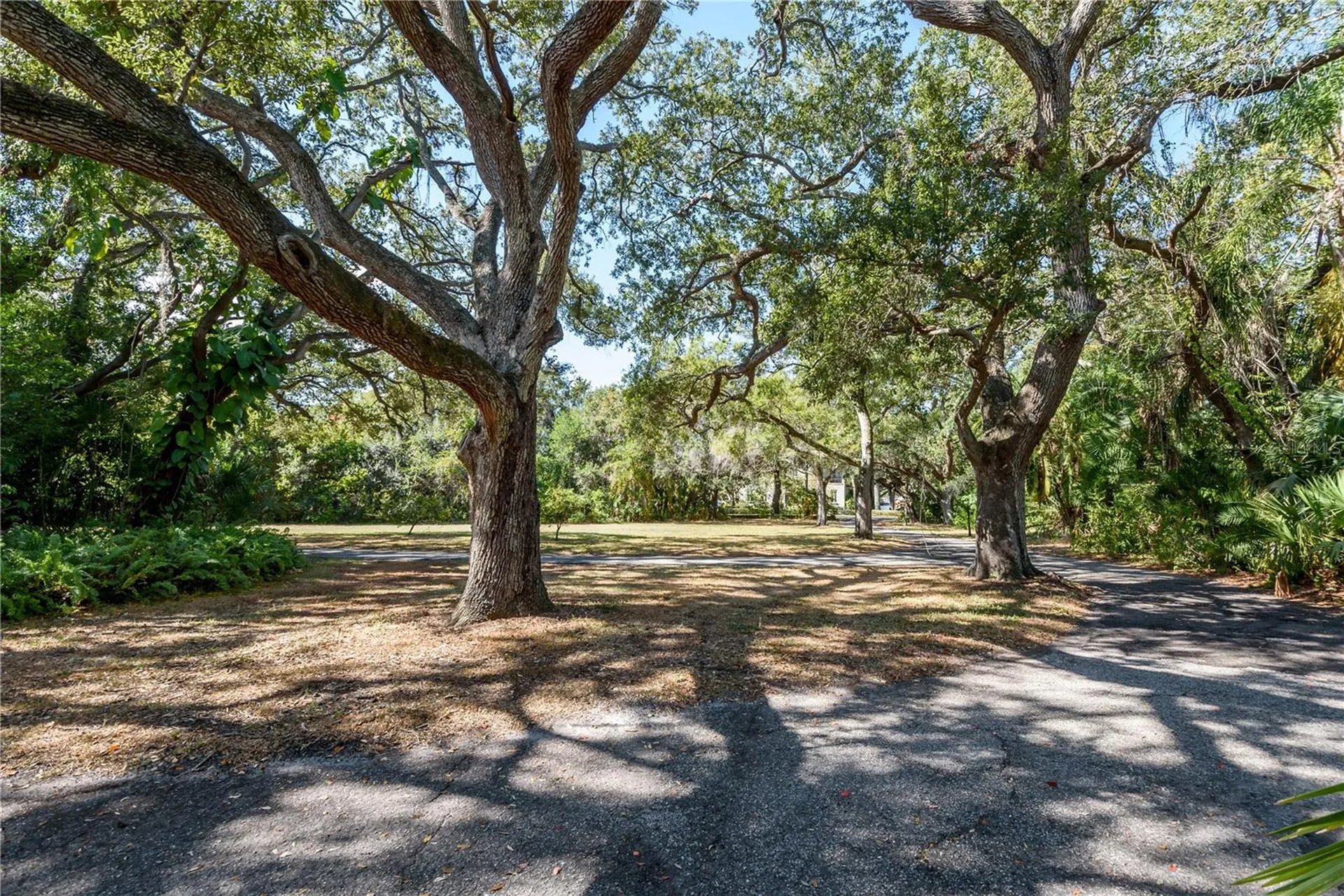6210 Bayshore Boulevard Tampa FL 33611