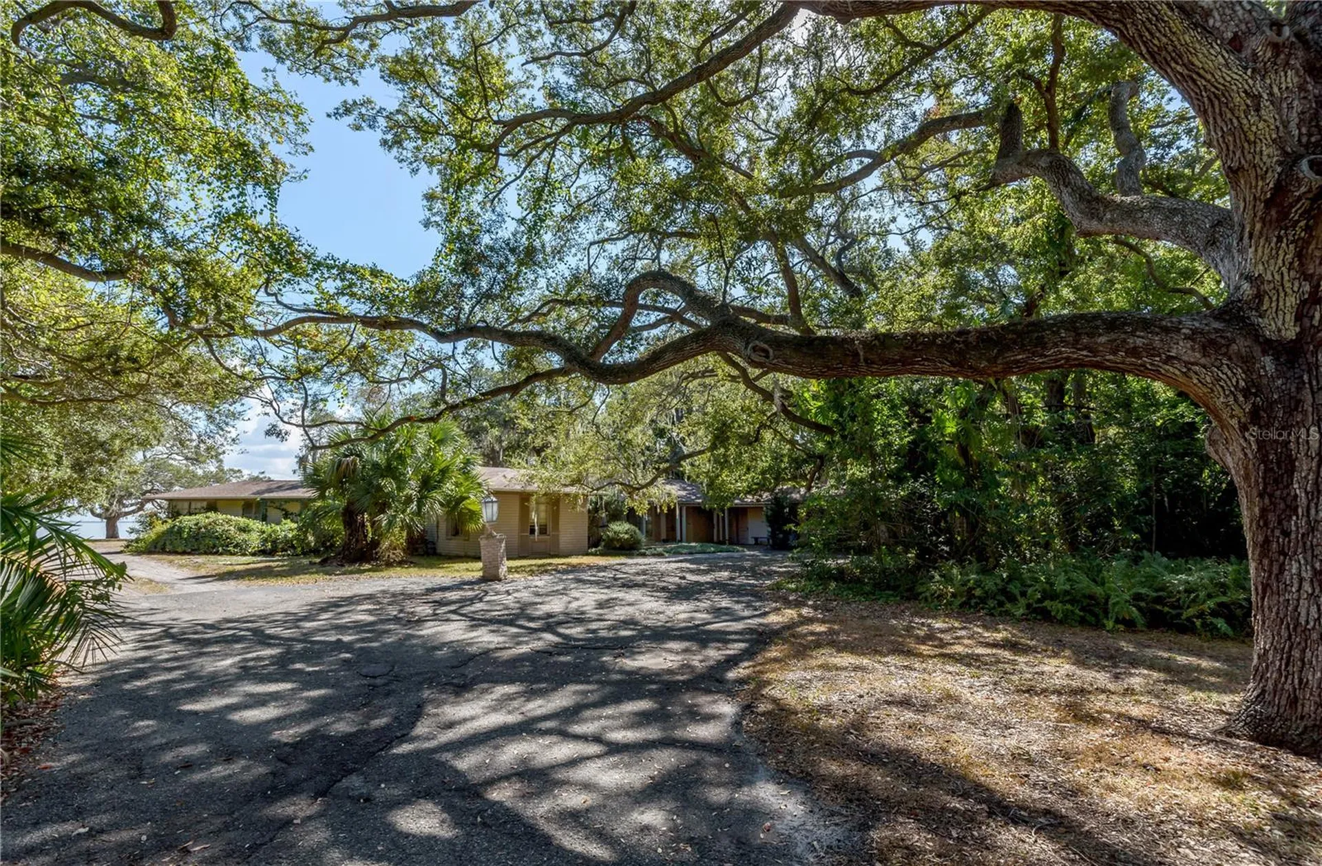 6210 Bayshore Boulevard Tampa FL 33611
