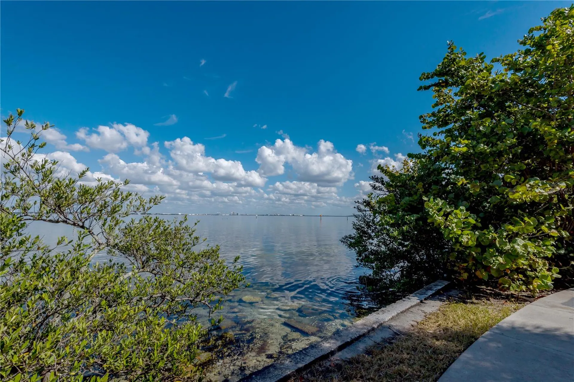 6210 Bayshore Boulevard Tampa FL 33611