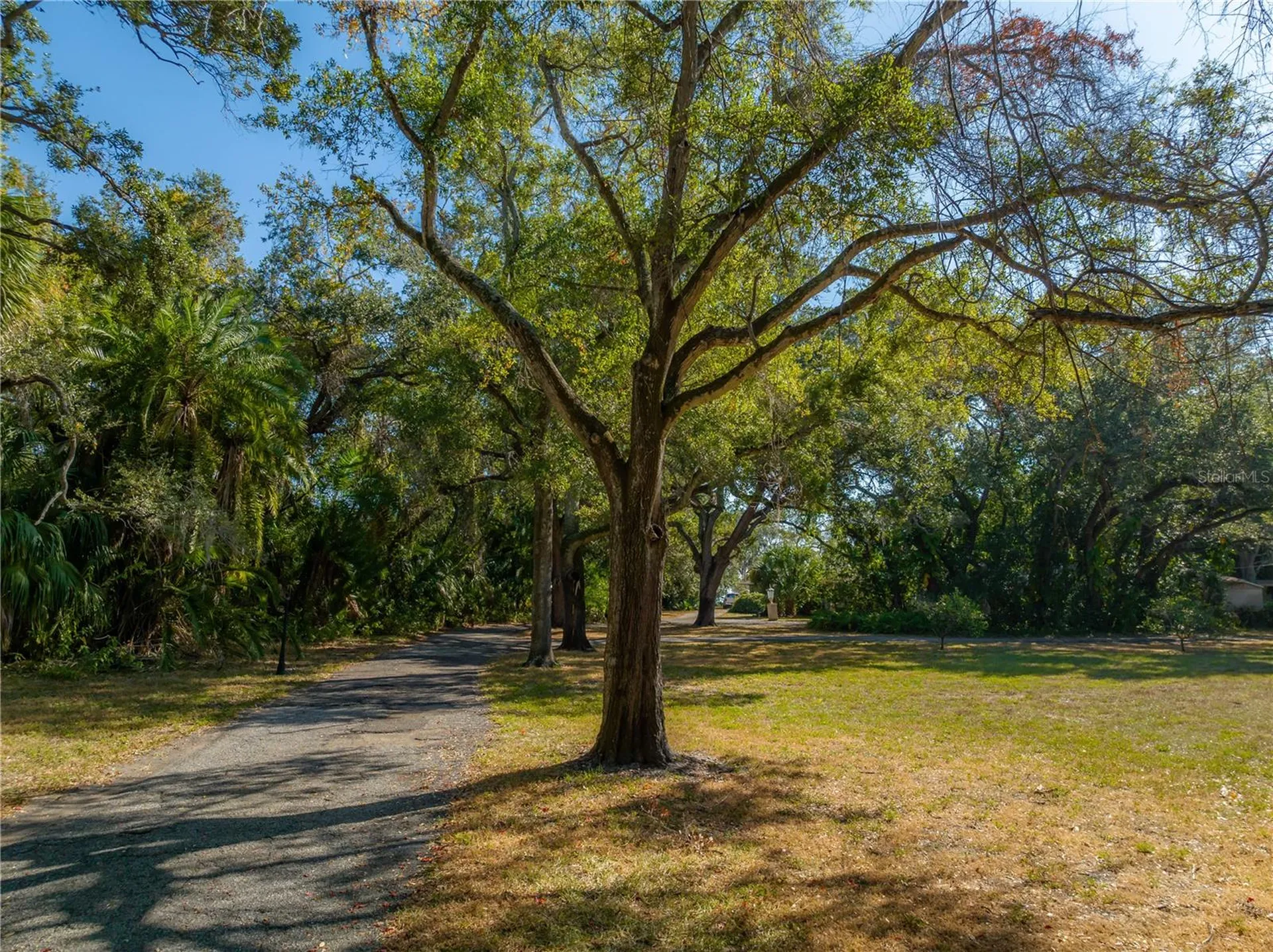 6210 Bayshore Boulevard Tampa FL 33611