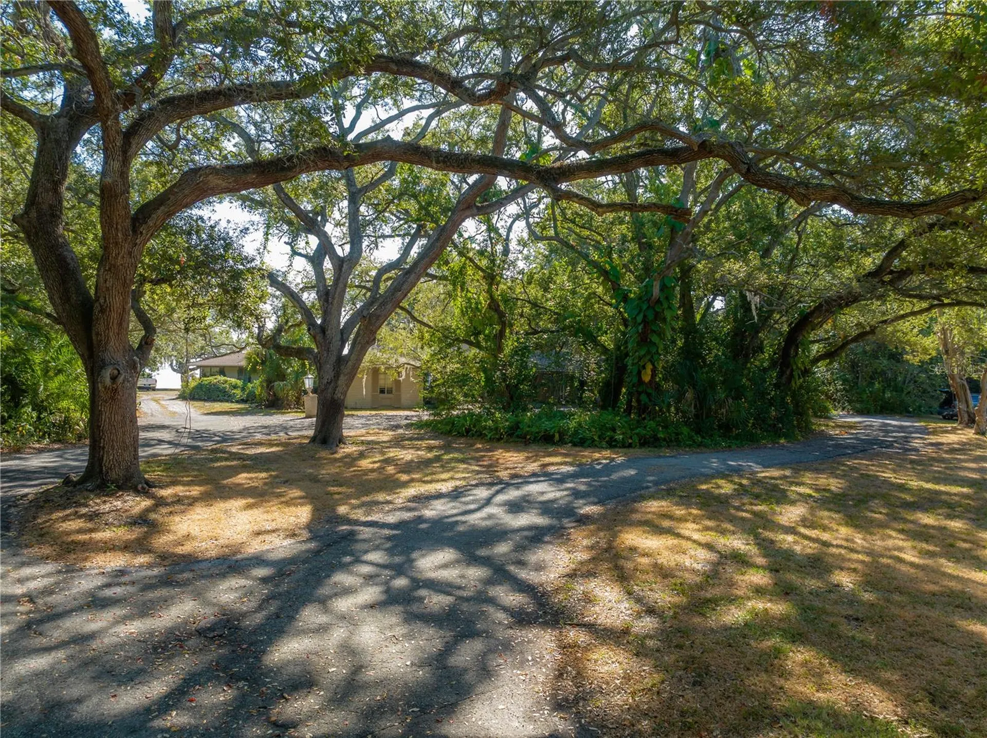 6210 Bayshore Boulevard Tampa FL 33611