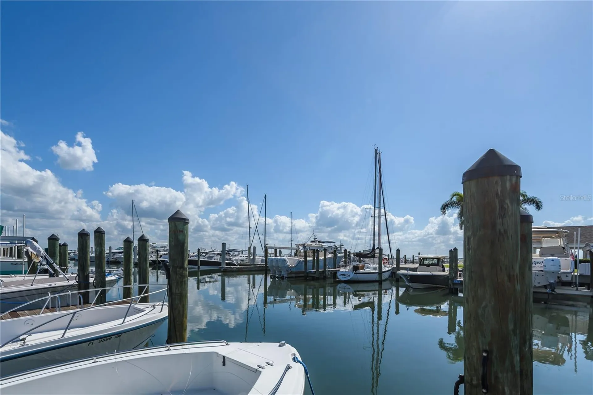 6210 Bayshore Boulevard Tampa FL 33611