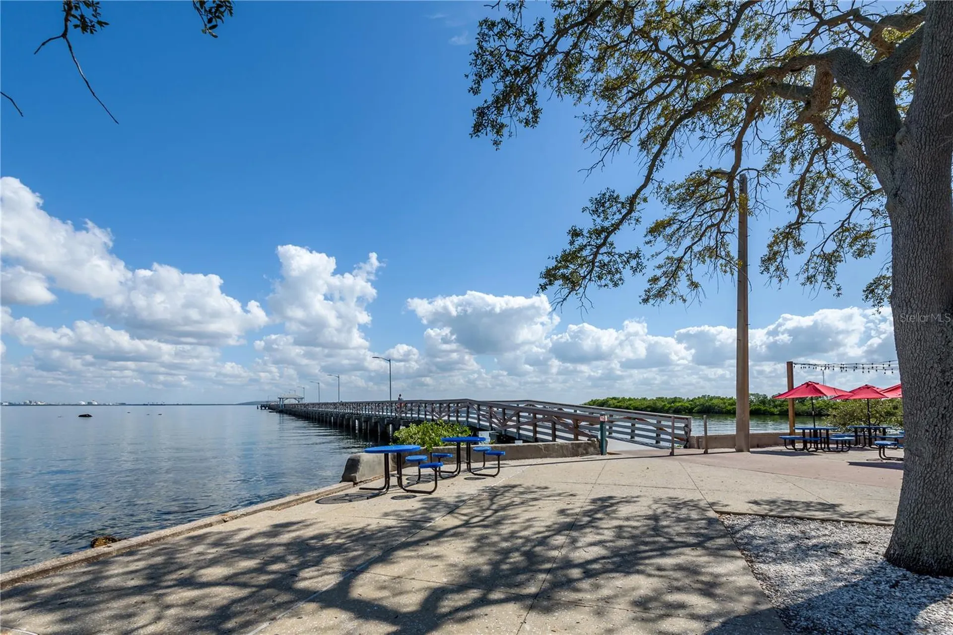6210 Bayshore Boulevard Tampa FL 33611