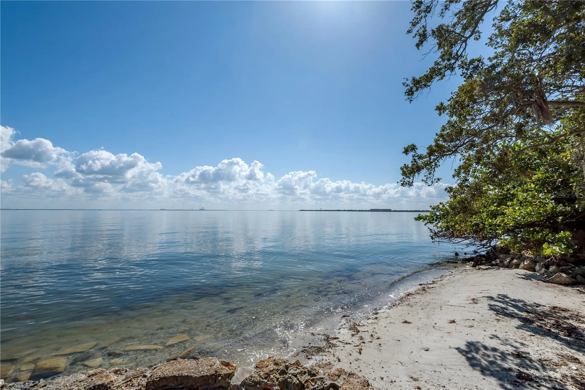 6210 Bayshore Boulevard Tampa FL 33611