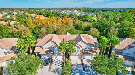 14551 Mirabelle Vista Circle Tampa FL 33626
