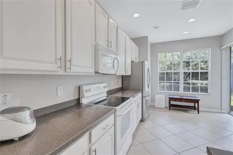14551 Mirabelle Vista Circle Tampa FL 33626